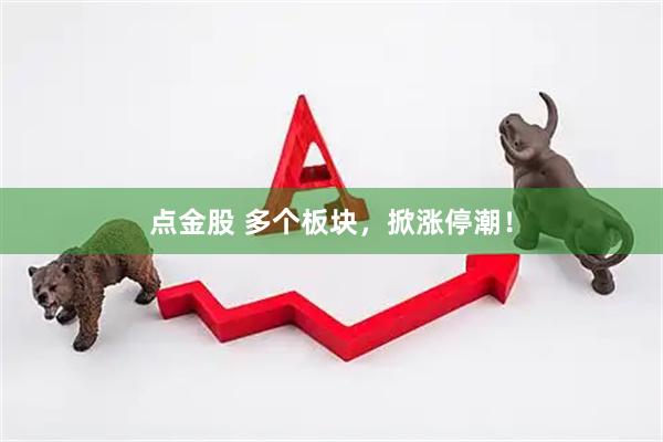 点金股 多个板块，掀涨停潮！